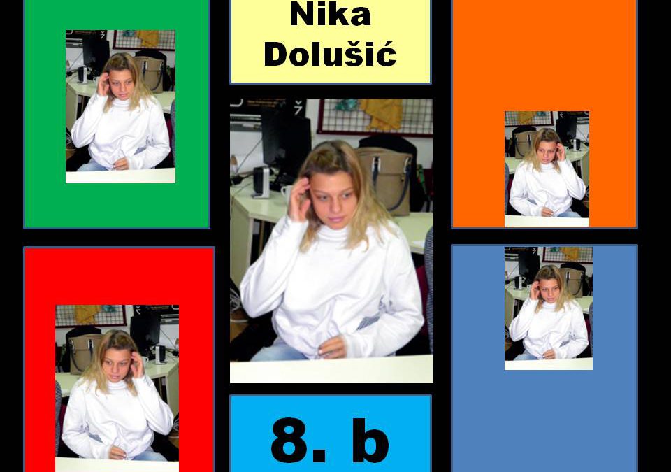 NIKIN SONETNI VIJENAC
