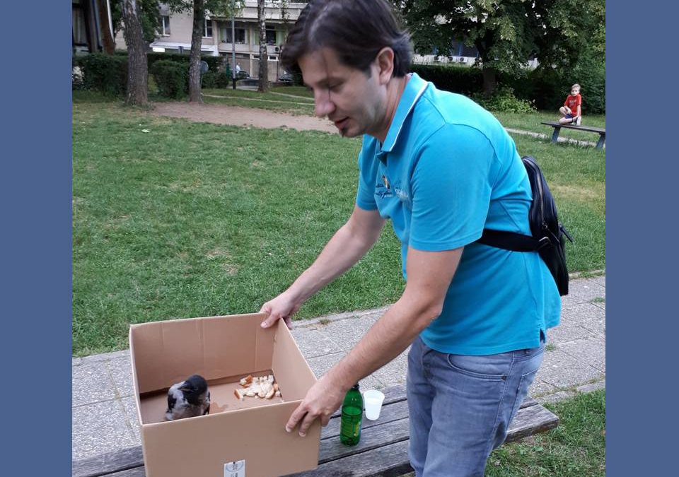 PROFESORI SPASILI PTIĆA